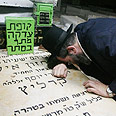 צילום: עופר עמרם