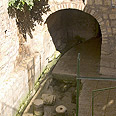 נקבת השילוח
