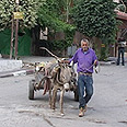 טייבה, השבוע. "ליברמן עושה טוב לערבים" צילום: דלית שחם