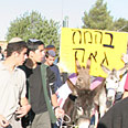 מצעד הבהמות (צילום: דודי ועקנין)