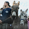צעד המחאה ב-2006 צילום: דודי ועקנין
