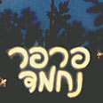 פרפר נחמד 