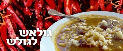 צילום: עופר ורדי