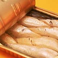 קופסת השימורים: אמנדה תאודוסיה ג'ונס. צילום: Index Open