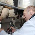 הגיע לסין והחל לעבוד. אולמרט צילום: אבי אוחיון, לע"מ