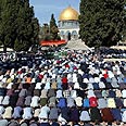 תפילות יום השישי בהר הבית צילום: איי פי