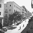צילום: קק"ל
