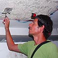 ערן לוין מצפה את התקרה בחומר בר אחיזה לעטלפים צילום: ערן עמיחי