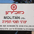 צילום: אבישג שאר-ישוב