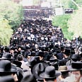 צילום: צביקה טישלר