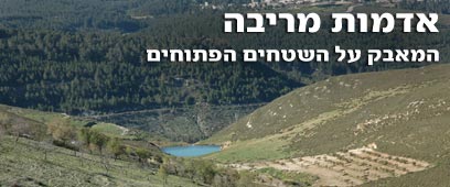 צילום: גלית קוסובסקי