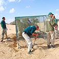 מתקינים כלוב מוגן לצבים צילום: מיכל ארז, גן החיות התנ"כי