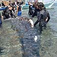 צילום: WWF-Philippines