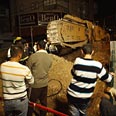 הרוג תאונת עבודה קטלנית תאונה חיפה דחפור טרקטור (צילום: אבישג שאר - ישוב)