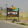עניבת חנק סולארית. קיבוץ אשלים צילום: יעל דראל