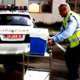 אדי משטרה השתלות (צילום: דבורה שרר)