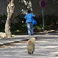צילום: חגי אהרון