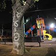 תקיפה אמסטף פעוט גן ציבורי תל אביב (צילום: ירון ברנר)