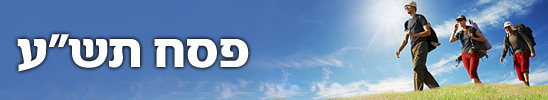 צילום: index open