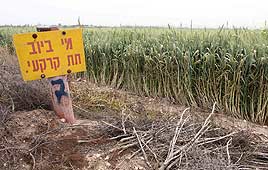 צילום: עידו ארז