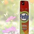 תכשיר לניקוי רהיטים של פלדג' צילום: אפרת אשל