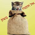 הכרזה שזכתה במקום השלישי 