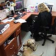 עורכת דין עיוורת מרסל בוטבול (צילום: אבישג שאר-ישוב)