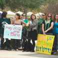 צילום: בועז כתבן