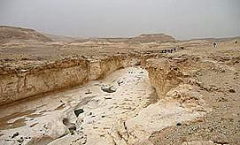 צילום: ארן סולל