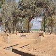 צילום: רונית סבירסקי