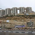 זה רק הקדימון. פרויקט הולילנד צילום: שלומי כהן "ידיעות ירושלים"