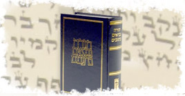 חידון התנ&amp;amp;amp;quot;ך של ynet