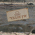 צילום: יעל דראל