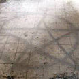 כת השטן התעללות חתול שריפת ספרי קודש (צילום באדיבות: משטרת מחוז ת"א)