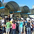 אוהדי מכבי חיפה (צילום: עדי סרדס)