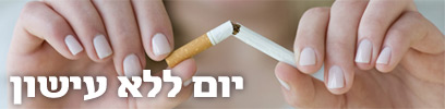 צילום: index open
