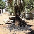 רמלה בית ספר מטען צינור (צילום: אבי מועלם)