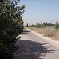 צילום: מועדון ת.מ.ר