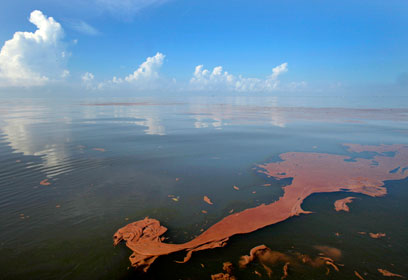 כתם הנפט במפרץ מקסיקו (צילום: AP)
