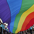 דגל גאווה הומואים מצעד gay flag parade (צילום: AP)