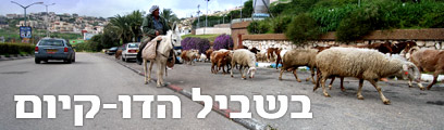 צילום: יוסי יובל