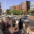 צעדת החמורים ברמת החי"ל צילום: חגי דקל