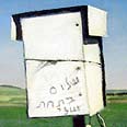 איור: ניר נדאר