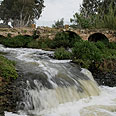 רומנטיקה בלב ת"א. נחל ב"ראש ציפור" באדיבות ארכיון הצילומים קק"ל