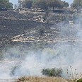 צילום: עידו ארזע