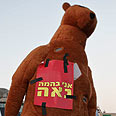 בובת דב שהביאו החרדים צילום: נועם מושקוביץ