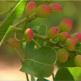 צילום:  רותם פלדנר