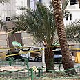 רקטה רקטות ירדן עקבה (צילום: רויטרס)