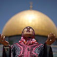 צילום: AP