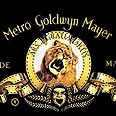 גם אריות יתפנקו בחדרי המלונות של MGM צילום: MCT